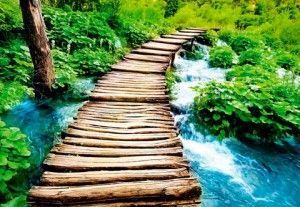fotomural-naturaleza-escalera